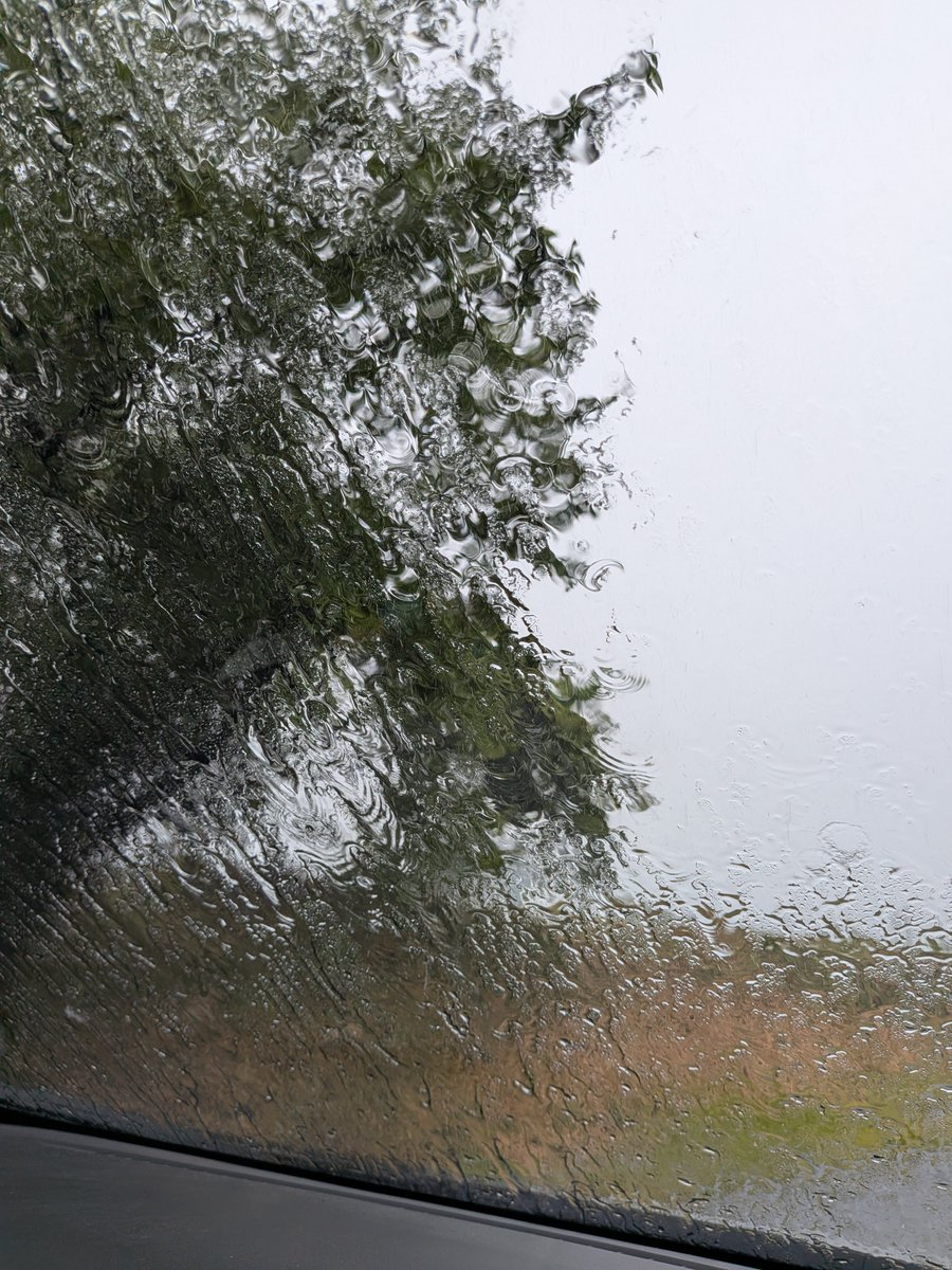 miyan3748's tweet photo. 急に豪雨😂
お昼食べに出たらめっちゃ濡れた🤣笑

関ヶ原に雨女男さんがたくさんいるのかな🤭笑 https://t.co/76NbEU4PXG