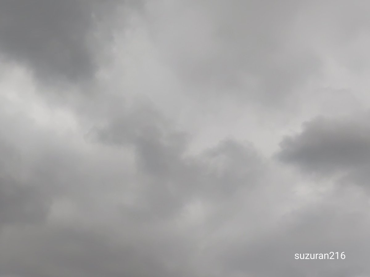 monaco202's tweet photo. どんより曇り空☁
蒸し暑い😣 https://t.co/ZUBu5Vy9cI