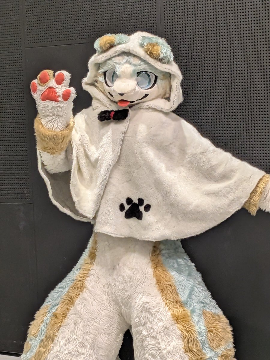 ⭐あいすページ あいす🐾 (@ice_chemit) / Posts / X