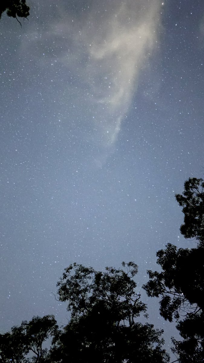 josephburt's tweet photo. Night time photos from East Texas https://t.co/2TrptHs76S