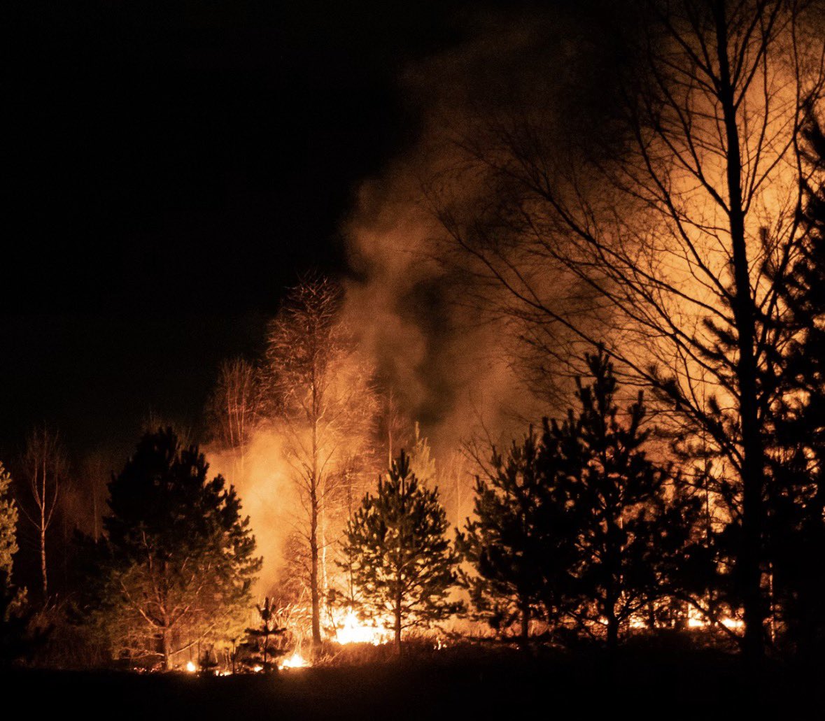 HFI1995's tweet photo. The ongoing hot and dry weather is leading to increased forest #fires across #Canada #USA and #Europe. Changes to the #climate seem to be increasing the frequency and intensity of the incidents.

Image Credit: @unsplash https://t.co/0dThICJgqU