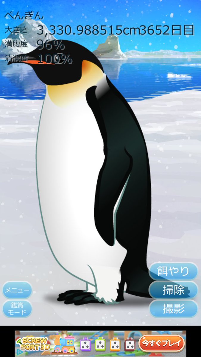 fuyukawarumi's tweet photo. 2016年7月から飼い始めたとして、閏年は2020年と2024年の2日。つまり今日が真誕生日ってことでいいのでは！？ https://t.co/xdt2dpoqM1