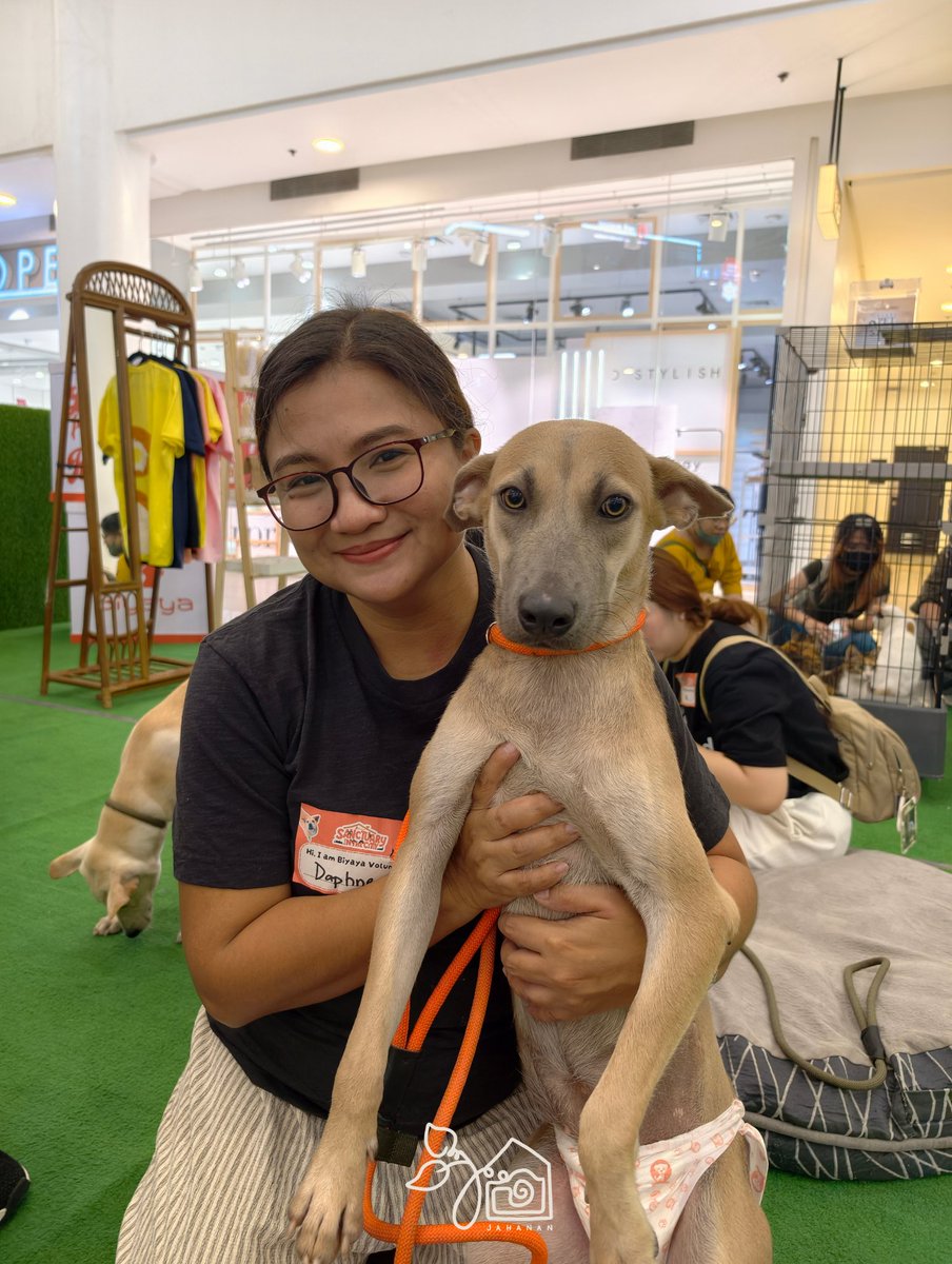 AngAmingJAHanan's tweet photo. Our first two and a half hours here at Ayala Malls UP Town Center were filled with cuddles with these cuties! 🥺

Feel free to drop by during mall hours and meet the Biyaya rescues that are up for adoption! We'll be here for Sanctuary in the City until tomorrow. 🐶😺

Fan merch and local goods are also available! Just visit our booths! 😄

#aPAWrposefulJAHdventure
@justintdedios #justin #SB19_JUSTIN