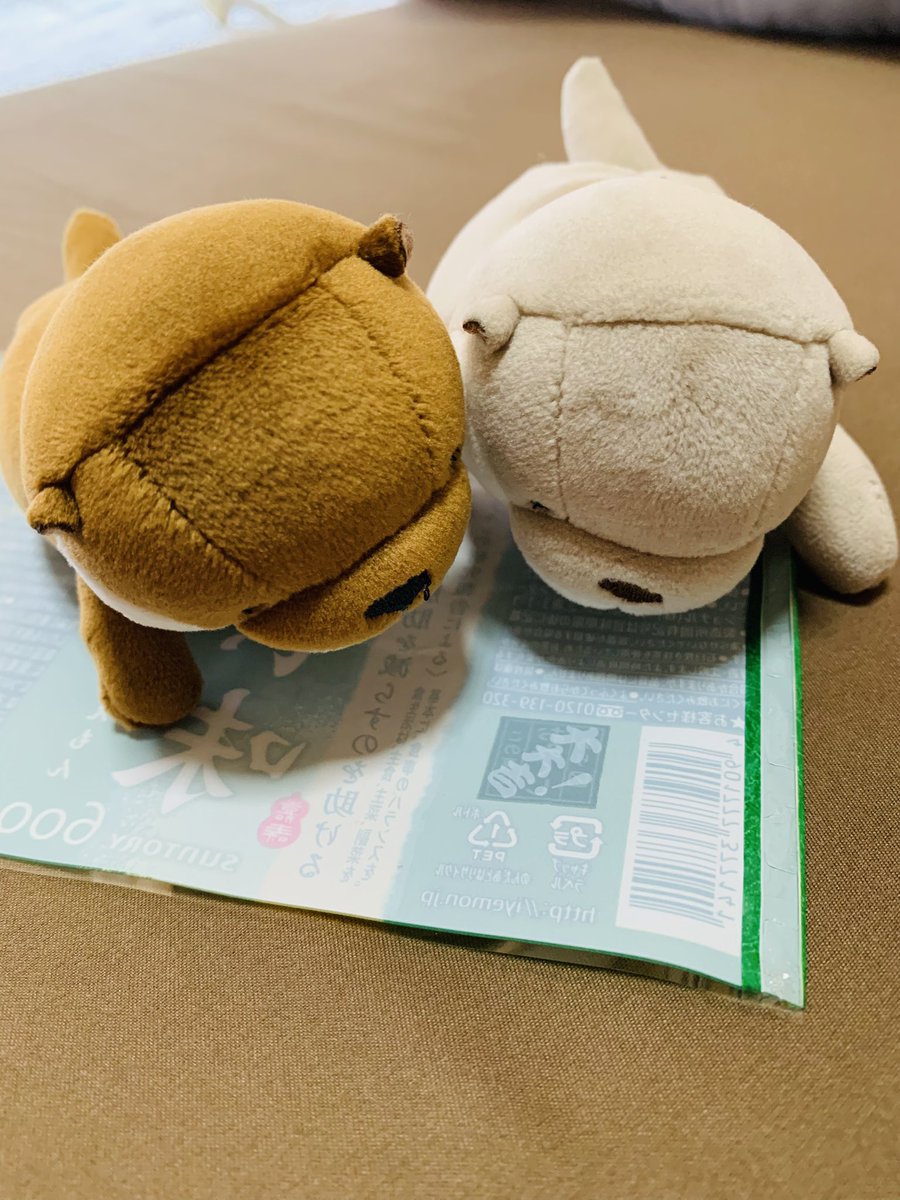 coconut_tunococ's tweet photo. お茶のラベルについてるおみくじ🍵
大大吉！だった✨✨

#ぬい撮り
#ぬいぐるみ
#もちかわうそ https://t.co/4ecqeB23vW