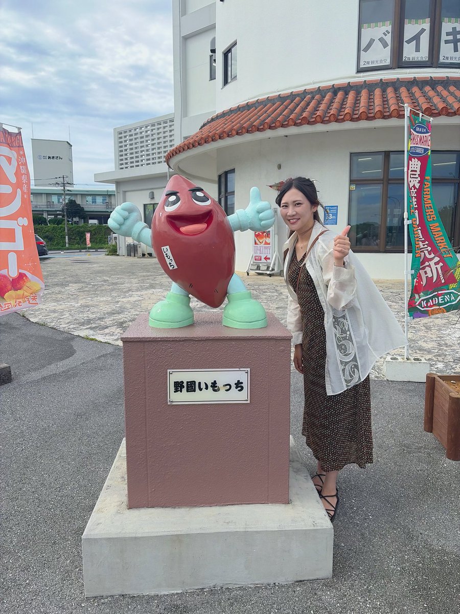 大島麻美⭐️ tweet media