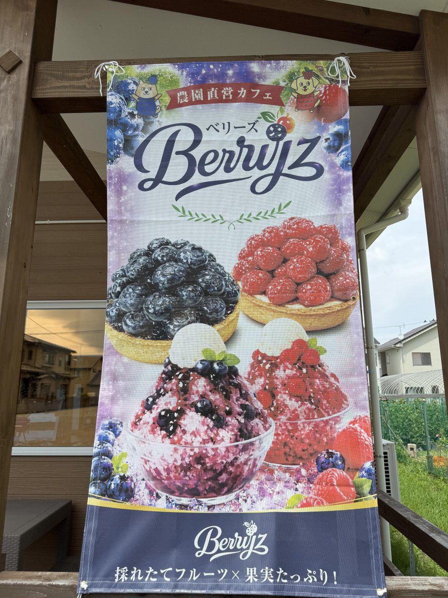 ms_book's tweet photo. 7/1にオープンしたBerryzさんに行ってきました！
暑い日に食べるカキ氷は最高ですね！軽食やタルト、コーヒーなどもありました！
しまむらの細い通りを真っ直ぐ進むとありますよー！
#ミライア本荘店
#由利本荘市 https://t.co/cbVlywREUz