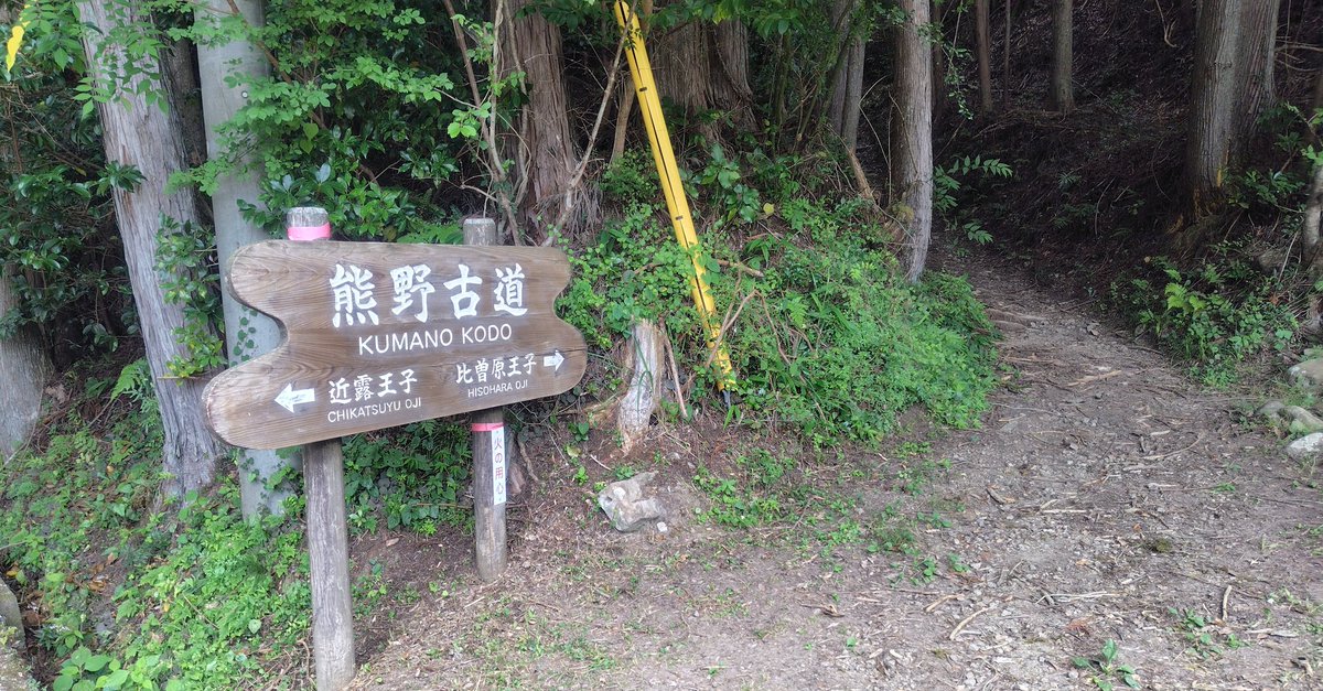 nemimin's tweet photo. 熊野古道に入ってみました。
一歩入ると空気が違う…
大自然のパワーを頂きました。

#山奥で同人即売会
#デレスポAR　#デレステAR https://t.co/SzczAqaY7E