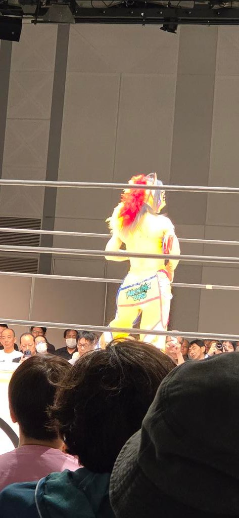 bourbonret2020's tweet photo. 2026年7月　#マリーゴール　#pw_mg　　#鳥の隊
マリーゴールド岡山大会
第二試合はハミングバード選手登場。
善戦しましたがCHIAKI選手に敗れました。ウムムですが、場内かなり温まりました。 https://t.co/rSpN1ysDr8