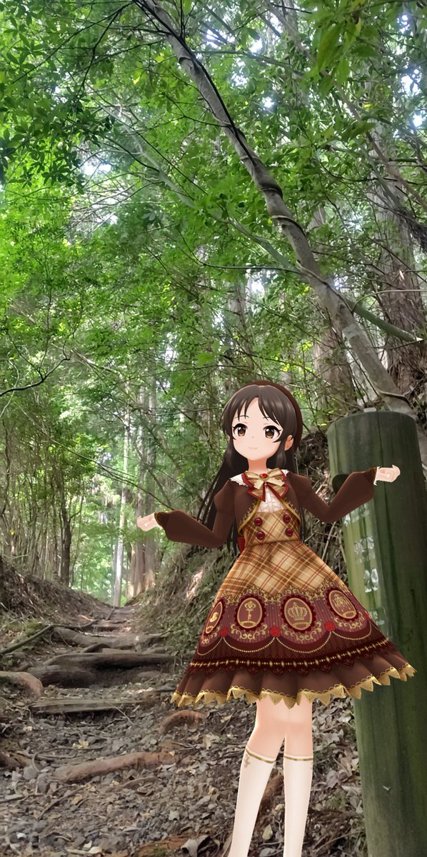 nemimin's tweet photo. 熊野古道に入ってみました。
一歩入ると空気が違う…
大自然のパワーを頂きました。

#山奥で同人即売会
#デレスポAR　#デレステAR https://t.co/SzczAqaY7E