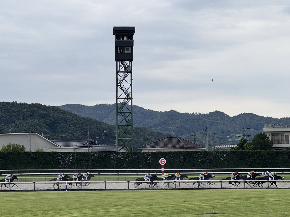 mimi_ry_u_'s tweet photo. ミヤギロドリゴさんも捲った第3コーナー（このレースはダート戦）
この景色見えただけでちょっとうるっとしたわ https://t.co/GWiry3ZR2Z
