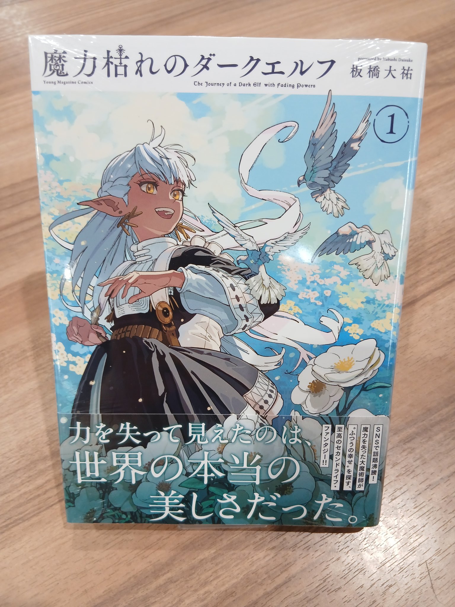 魔力枯れのダークエルフ 四つ折りB3販促ポスター POP TSUTAYA中島店 on X: 