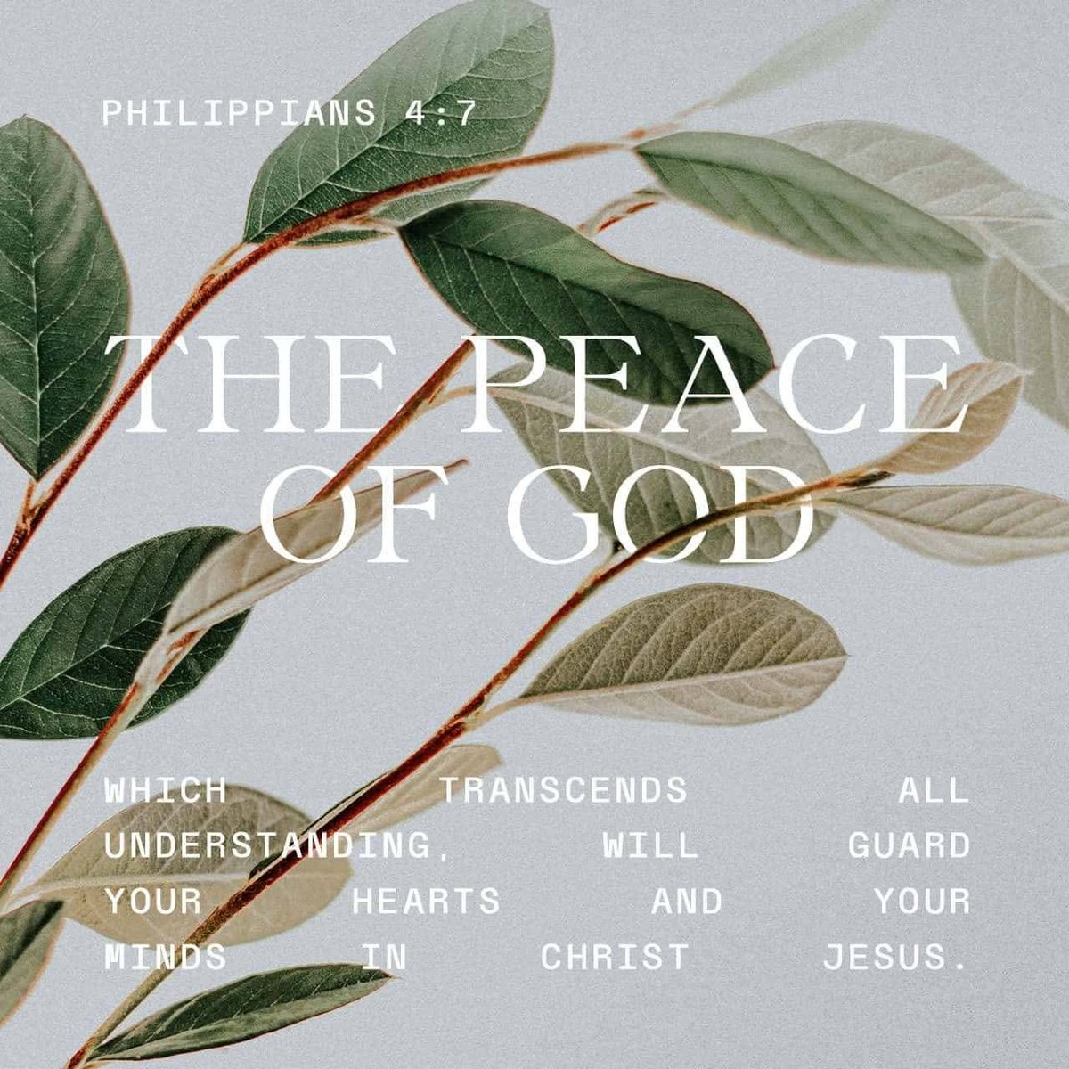 novemberpm_'s tweet photo. Happy Sabbath!💐 https://t.co/Bo8lzYW0WL