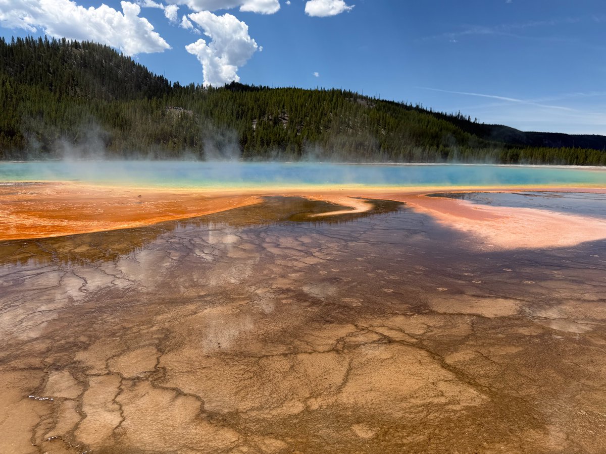 USAPawnBoss's tweet photo. @Ricois3 Where have you been on my timeline bro? I've seen some things that looked like your works of art. Was chillin in Yellowstone. https://t.co/QlbyyAEXgU