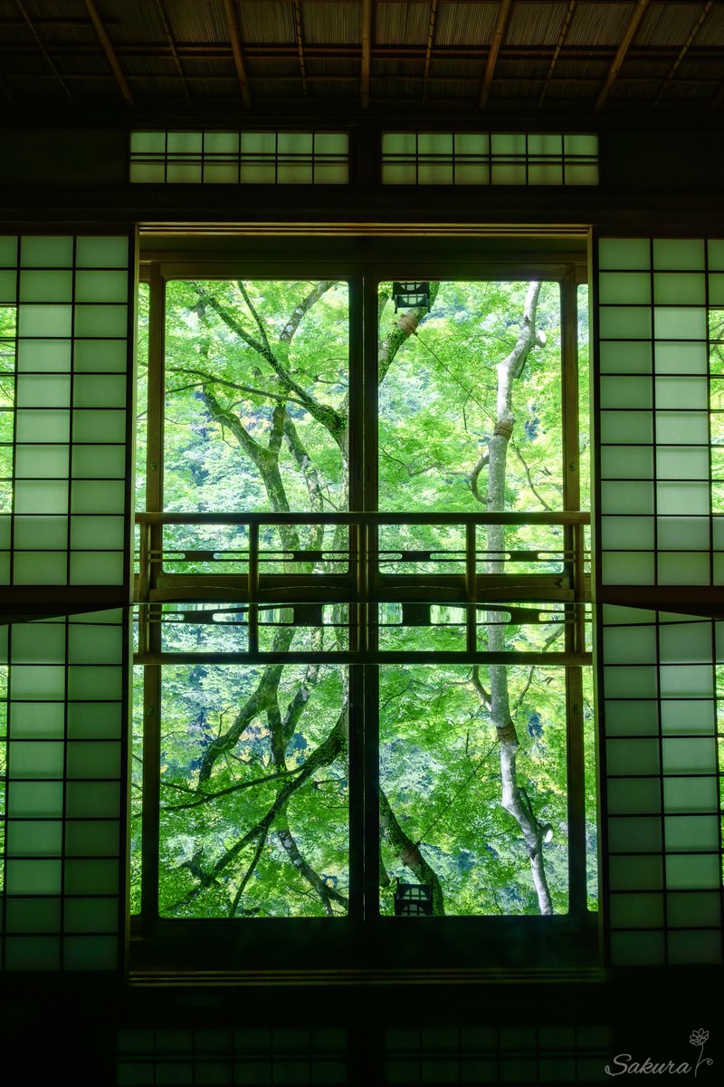 sakuraing64's tweet photo. 夏の京都 嵐山祐斎亭
緑のリフレクションが美しい！ https://t.co/uRVk2lgnY4