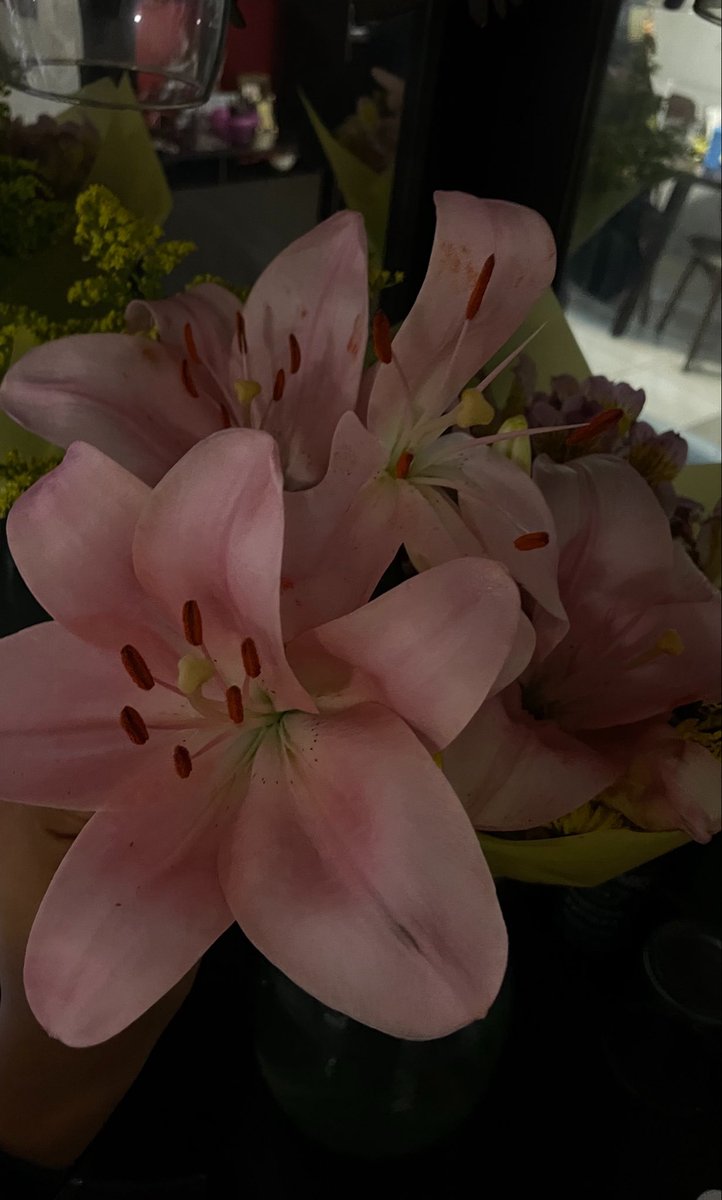 Aranjuezfdz's tweet photo. le cuento a mi novio que me iba a comprar una planta de lilis pero que a la mera hora no, el al día siguiente: https://t.co/j4ufMmtoE6
