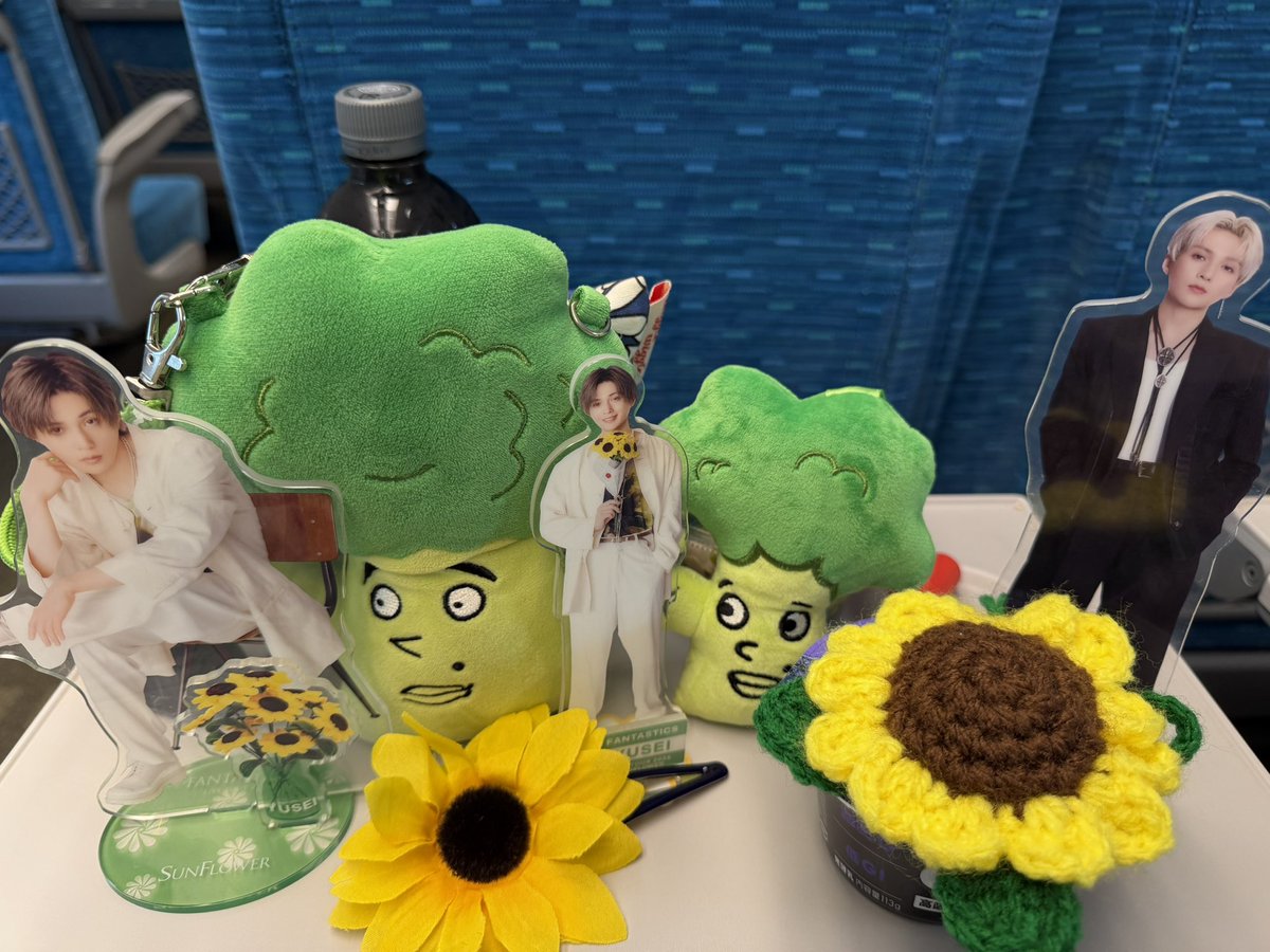 八木勇征 静岡向かいます╰(*´︶`*)╯♡ わくわく🥰🥰 #SUNFLOWER