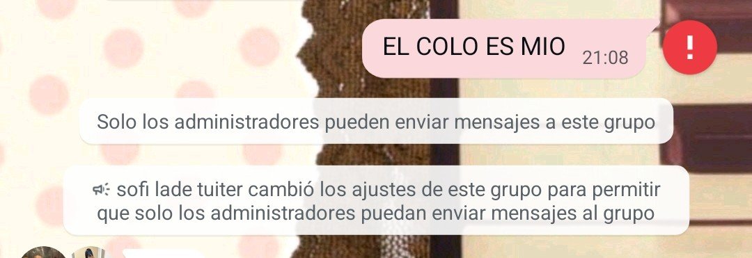 valen 🇦🇷 🪲 tweet media