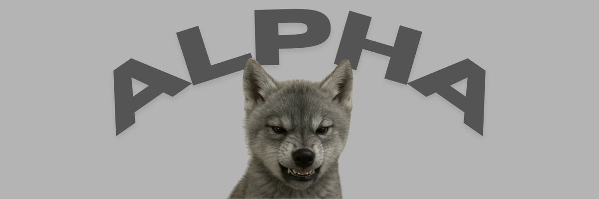 Bungiee tweet media