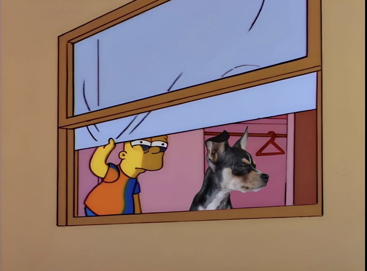 Guarromantico_'s tweet photo. Yo y mi perro cuando un carro que no conocemos se estaciona enfrente de la casa. https://t.co/TmKtTC01V3