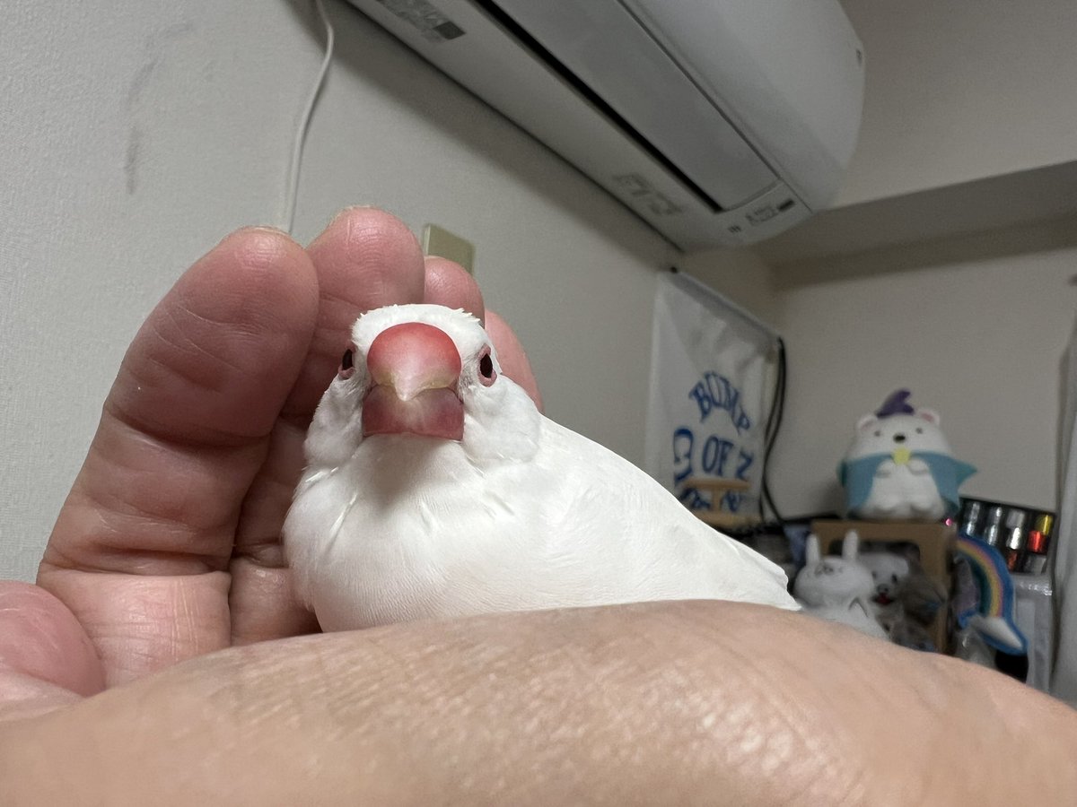 nohoho0326's tweet photo. おはようございます☁️ https://t.co/HH8cbMsiRy