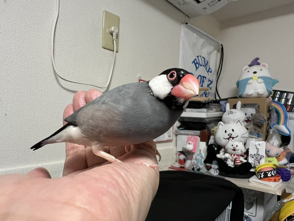 nohoho0326's tweet photo. おはようございます☁️ https://t.co/HH8cbMsiRy