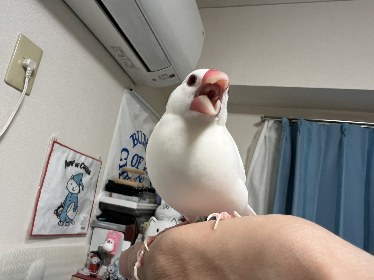 nohoho0326's tweet photo. おはようございます☁️ https://t.co/HH8cbMsiRy