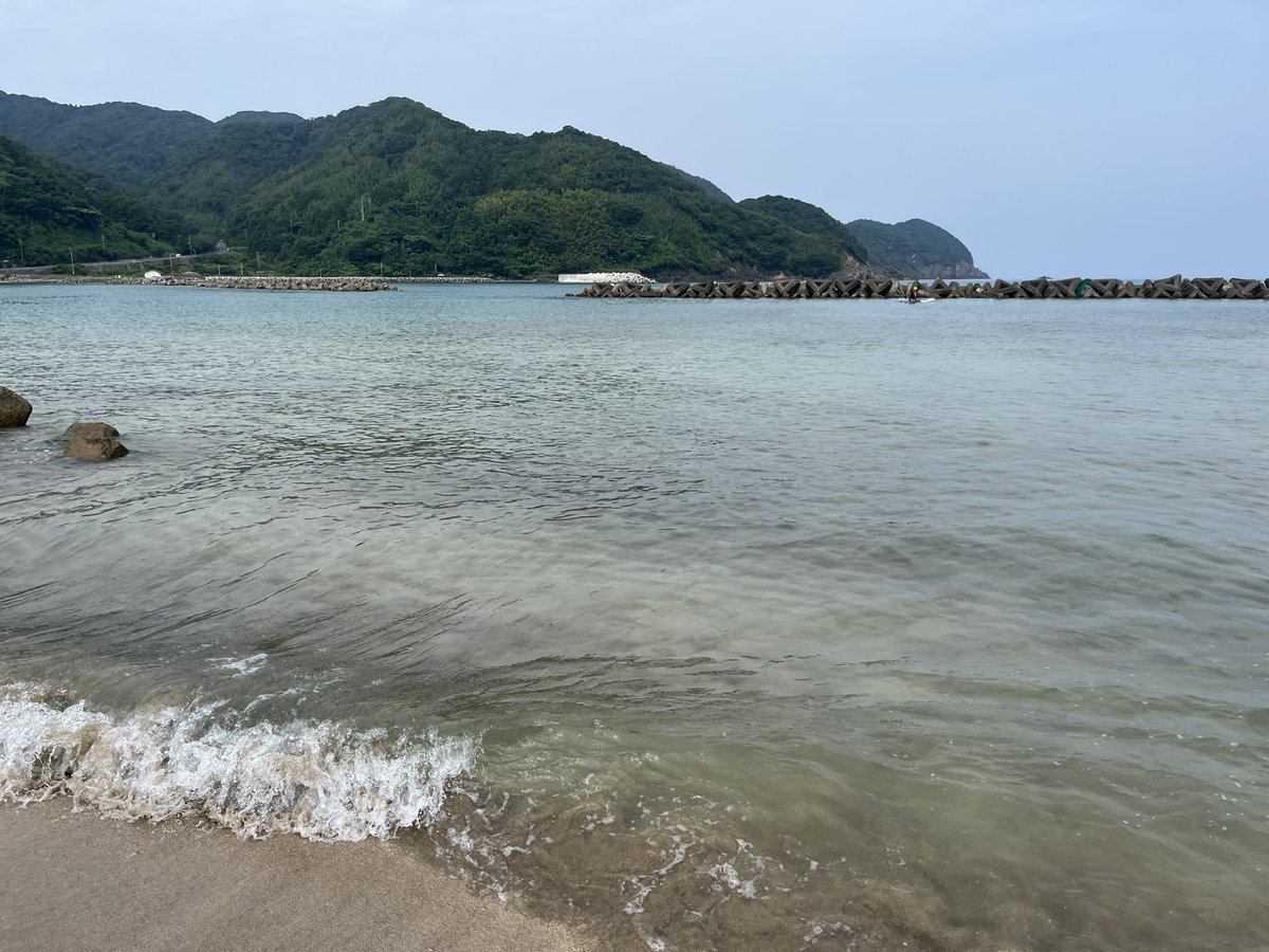 MMtailing's tweet photo. うみ https://t.co/pr8TpIlk9N