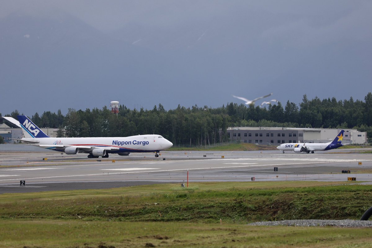 oka_Boeing787's tweet photo. アンカレッジでスカイマーク見れるとは笑
 #JA738B https://t.co/EfWYv1iU6d