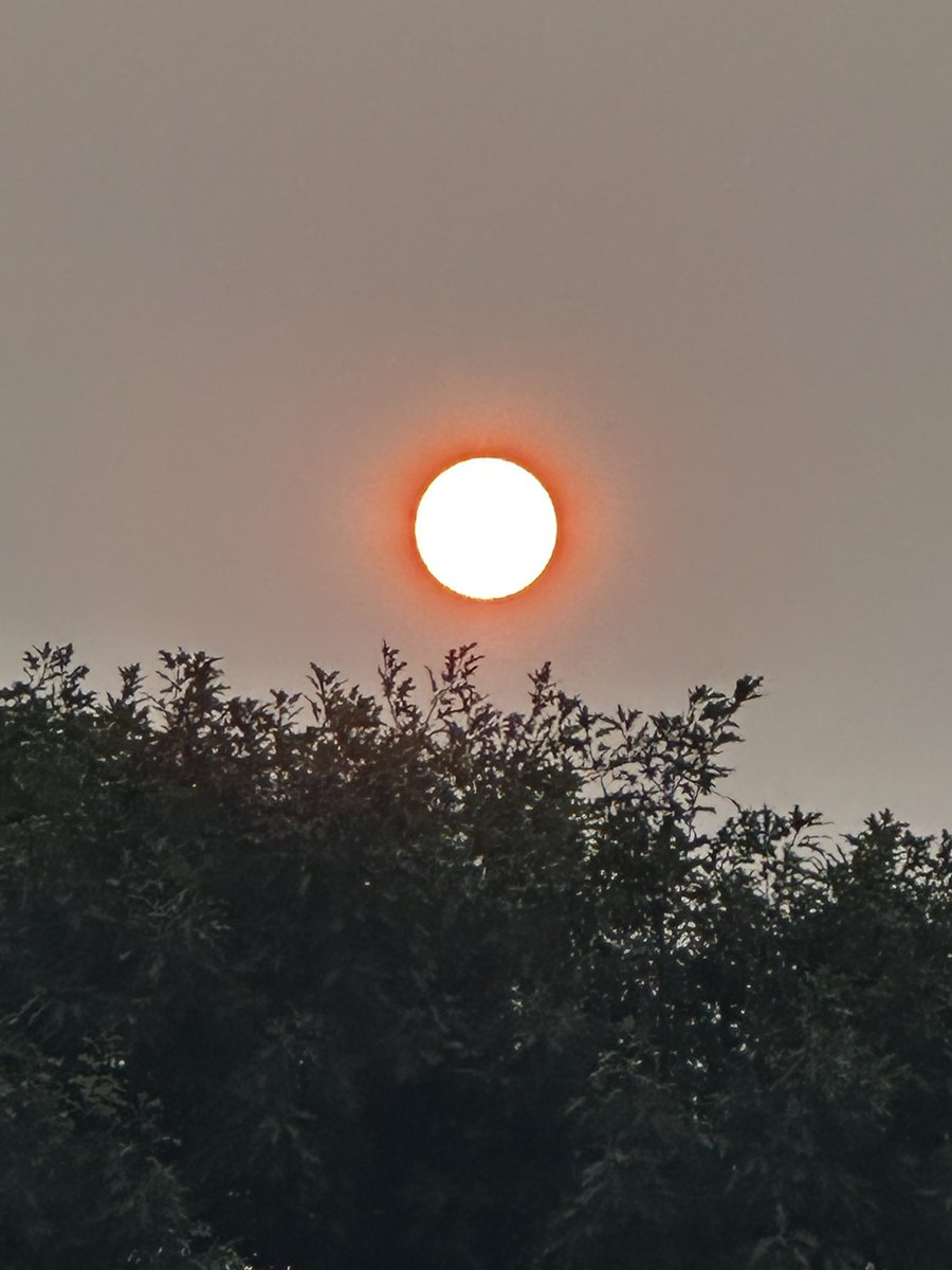 tpfmm's tweet photo. Smoky sunset from wildfires from London, Ontario, Canada https://t.co/RC5Zcdhu09