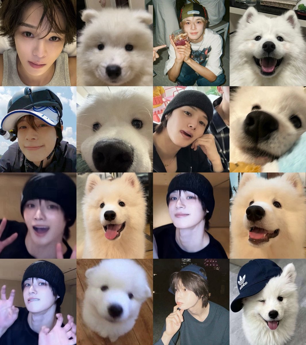 miopupk's tweet photo. サモエド🐶

#andTEAM_K #ケイくん #케이 #andTEAM #앤팀 https://t.co/wK5LSE590z