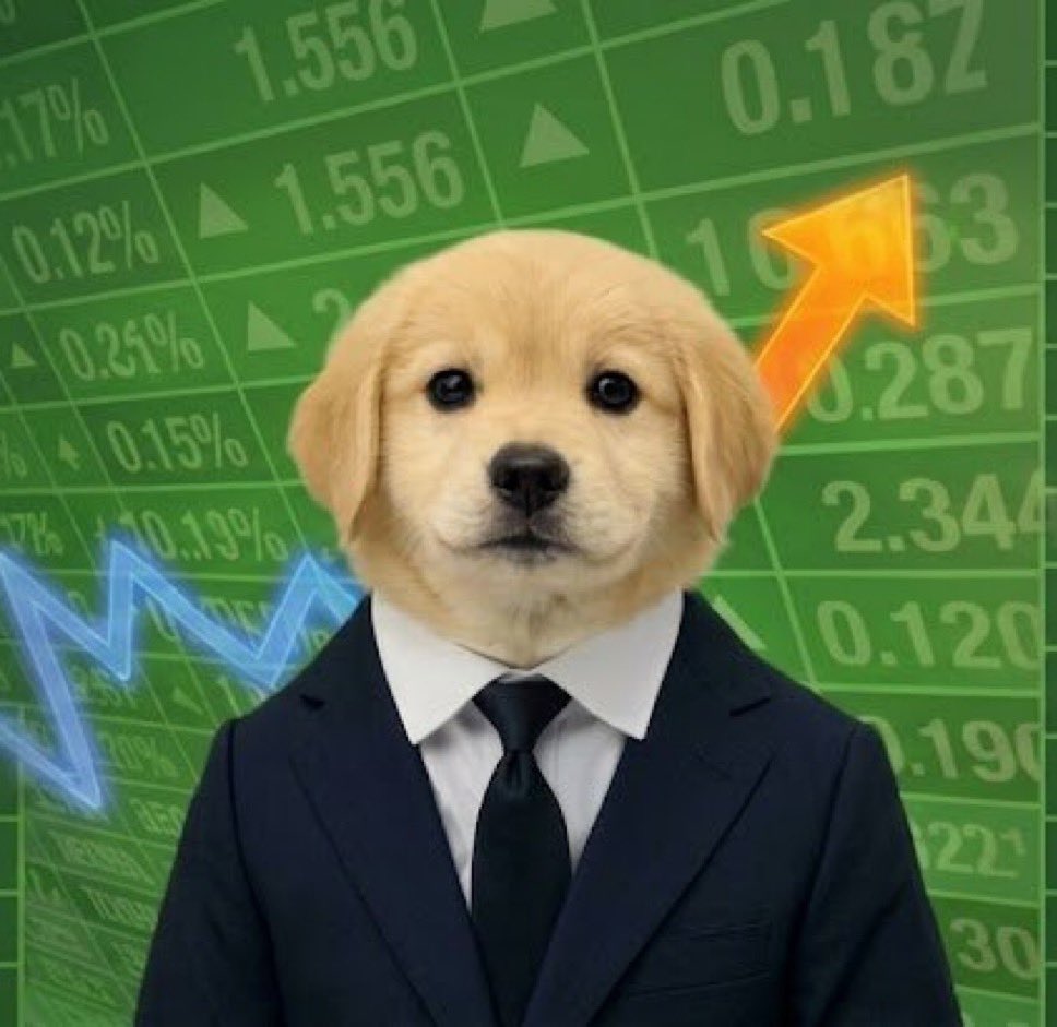fullportferd's tweet photo. @sue_xbt it’s always a dog @NasdogOnRH https://t.co/2EJjJQcuOG