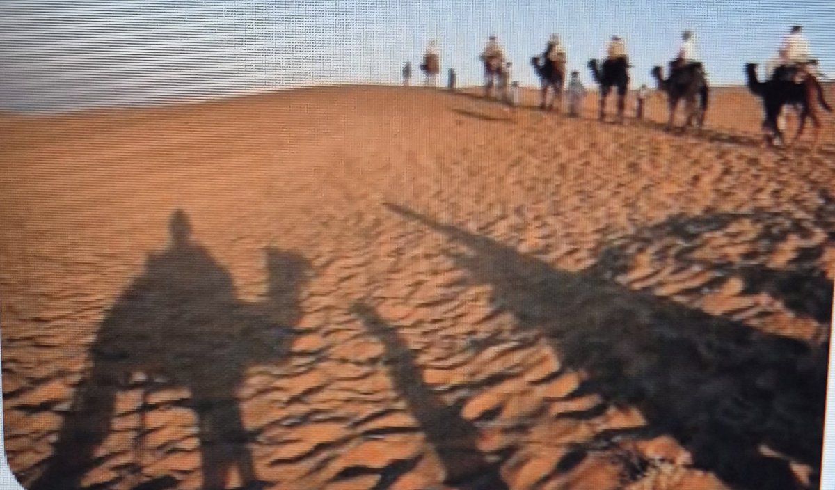 IndicMeenakshi's tweet photo. According to accounts,  Mahmud was deliberately misled on the route back home by a guide who confessed to be a priest of Somnath; taking revenge for the harm done to the temple.   
Mahmud's troops suffered greatly through the route through the Sindh desert. 

#InvincibleSomnath https://t.co/P2JQtAFjyT