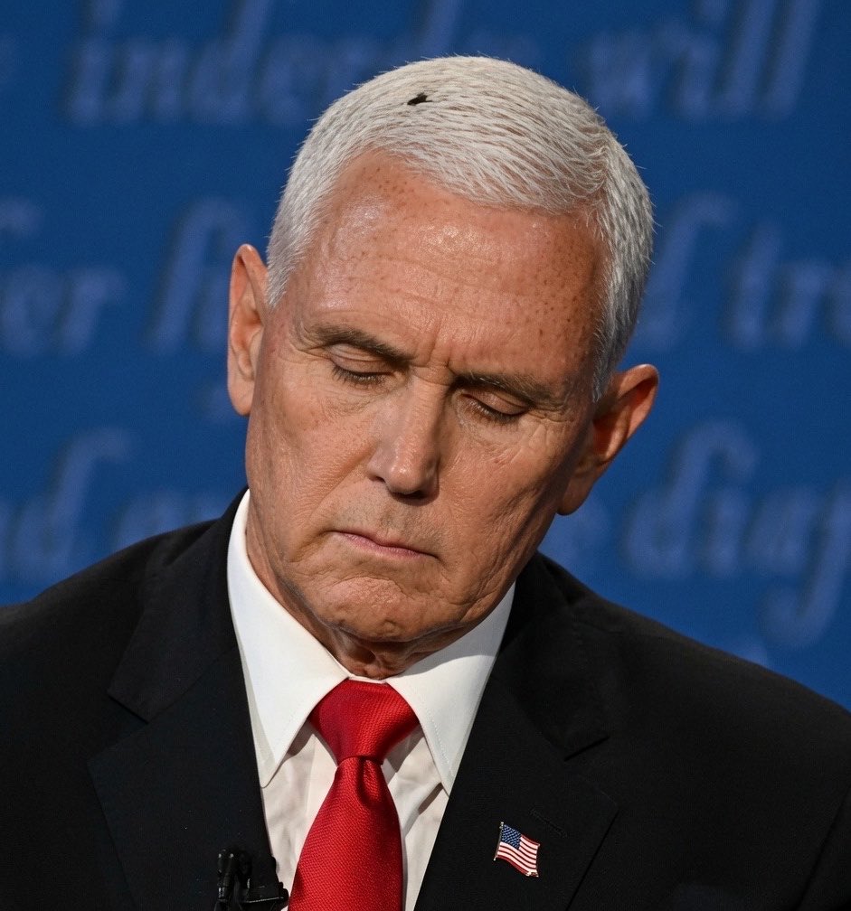 liz_churchill10's tweet photo. Mike ‘Judas’ Pence certified a stolen election… https://t.co/WzDu42PnGb