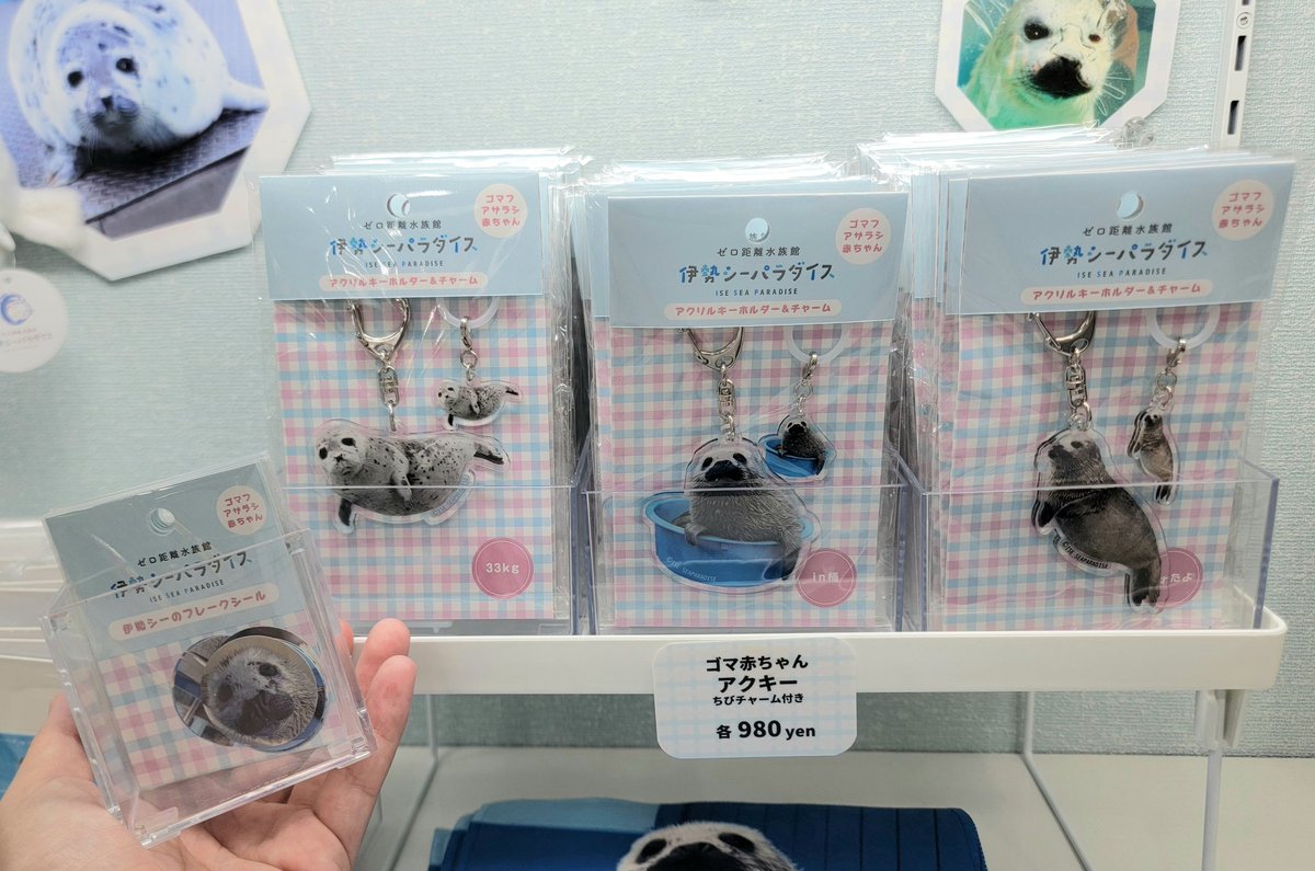 isesea_shop's tweet photo. 大好評につき、再販✨
数に限りがあります、お早めにお買い求めください。

#伊勢シーグッズ
#日常に伊勢シーを https://t.co/Ii7ByhmT72