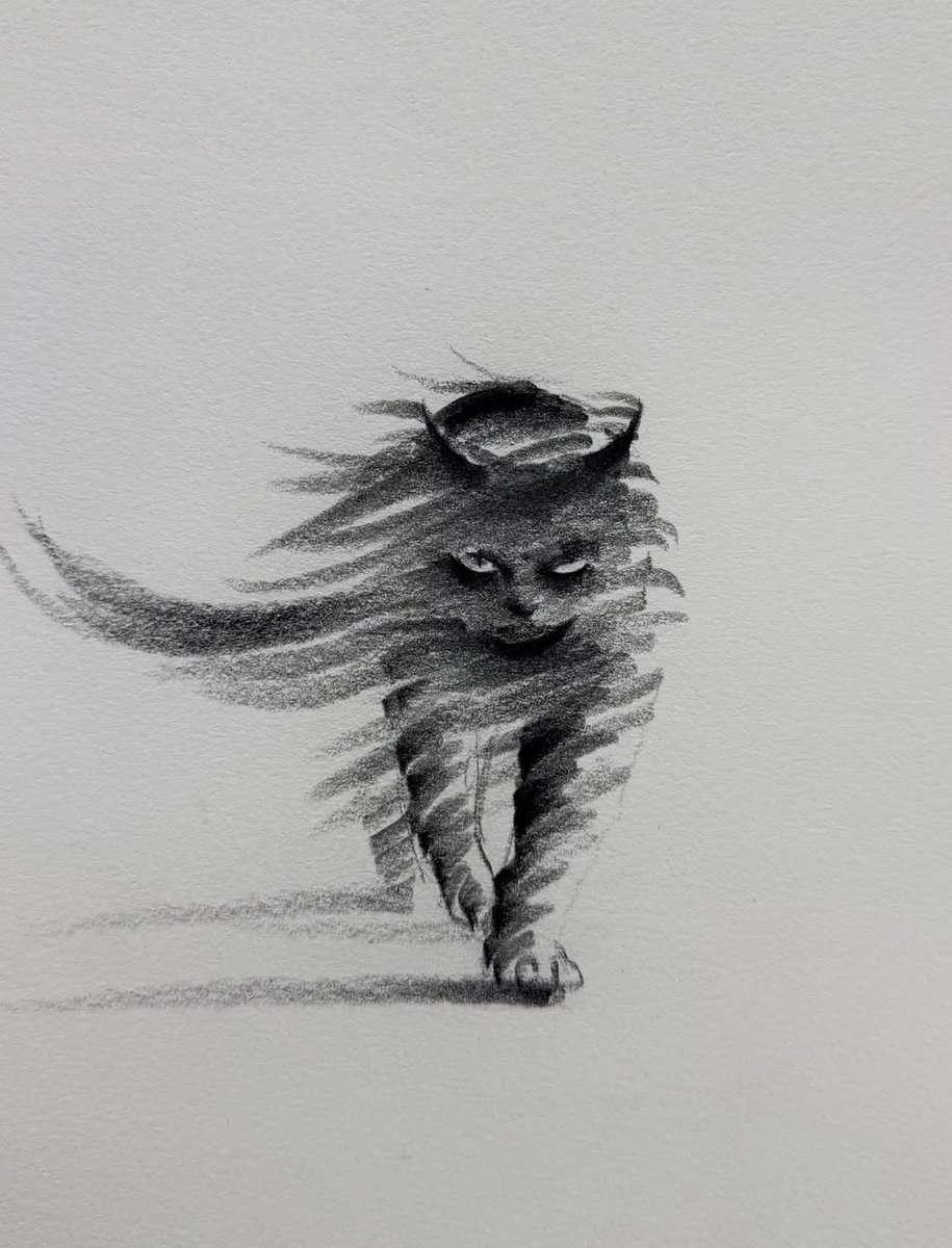 marysia_cc's tweet photo. ShouXin
#Caturday https://t.co/D2jt6ZgjUa