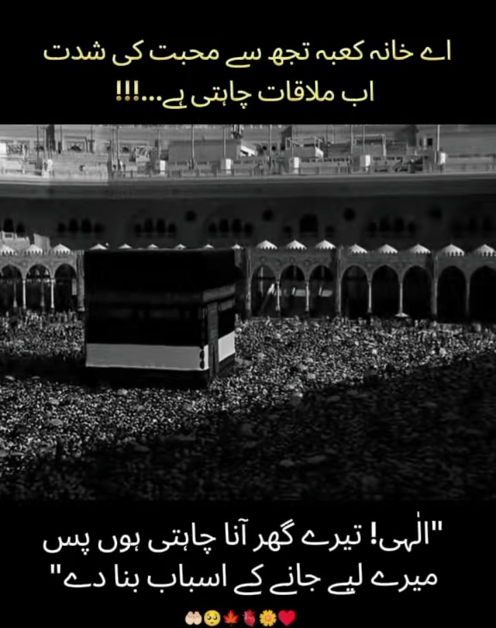 saniaaamir31's tweet photo. اسلام علیکم ورحمۃاللہ وبرکاتہ 🌹 
صباح النور،،💫💫
سبحان اللہ وبحمدہ سبحان اللہ العظیم،،،
آمین ثم آمین یارب العالمین ♥️ https://t.co/nBWheQ7nR7