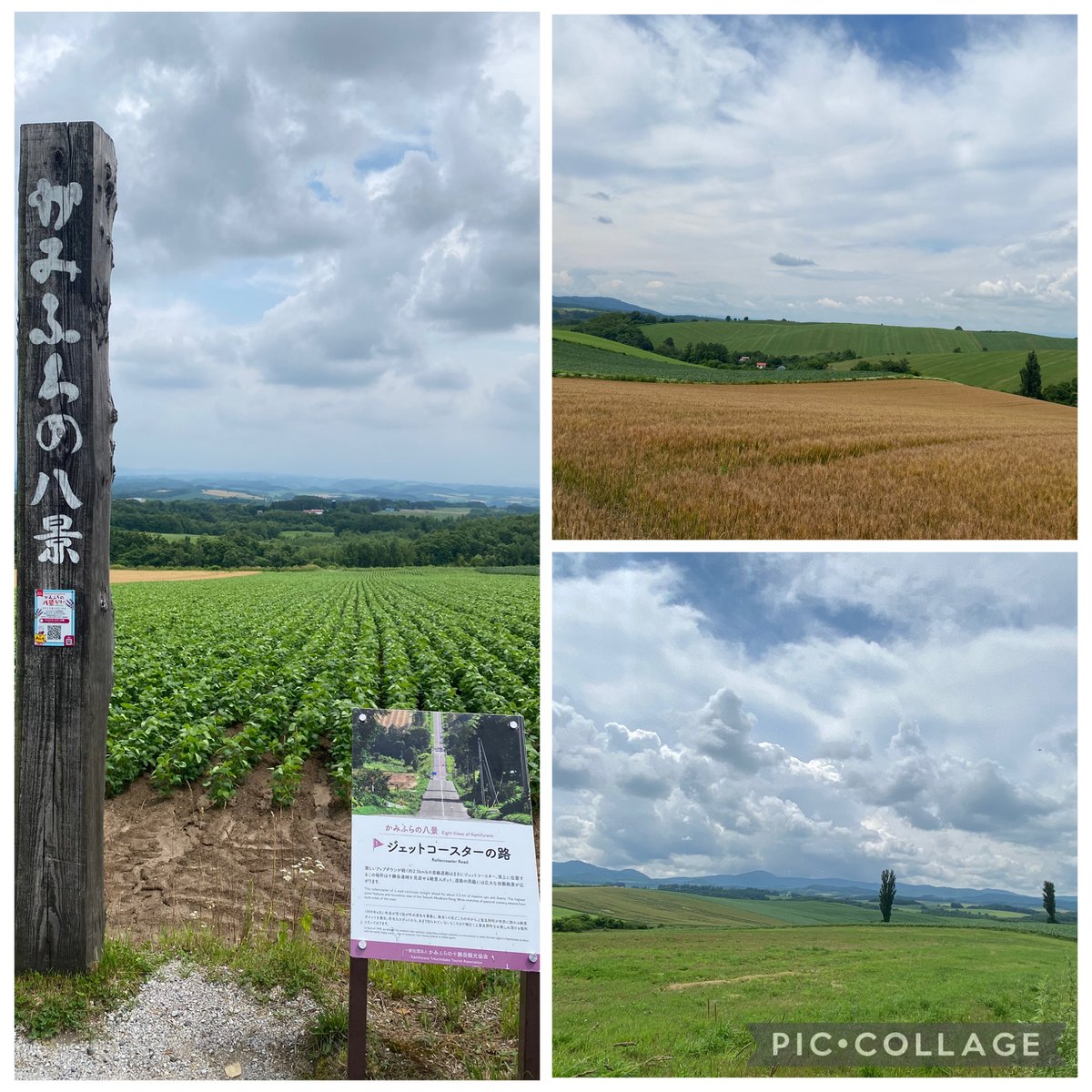 ami08072076's tweet photo. 久しぶりの夏の北海道を主人と満喫して来ました😊
千歳のレース観戦から始まり、富良野、旭川、糠平、帯広、襟裳町、静内、日高、札幌と巡って雄大な自然と圧巻の景色、美味しい食べ物。最高の癒しをもらたしてくれた5泊6日。ありがとう☺️ https://t.co/6YpkEuJjf0