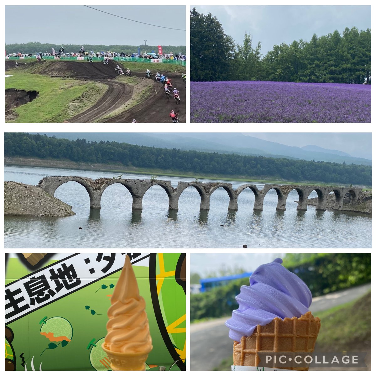 ami08072076's tweet photo. 久しぶりの夏の北海道を主人と満喫して来ました😊
千歳のレース観戦から始まり、富良野、旭川、糠平、帯広、襟裳町、静内、日高、札幌と巡って雄大な自然と圧巻の景色、美味しい食べ物。最高の癒しをもらたしてくれた5泊6日。ありがとう☺️ https://t.co/6YpkEuJjf0
