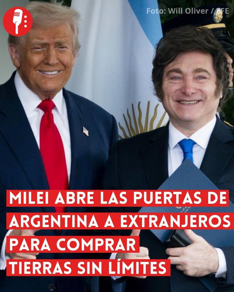 Los Reporteros MX tweet media