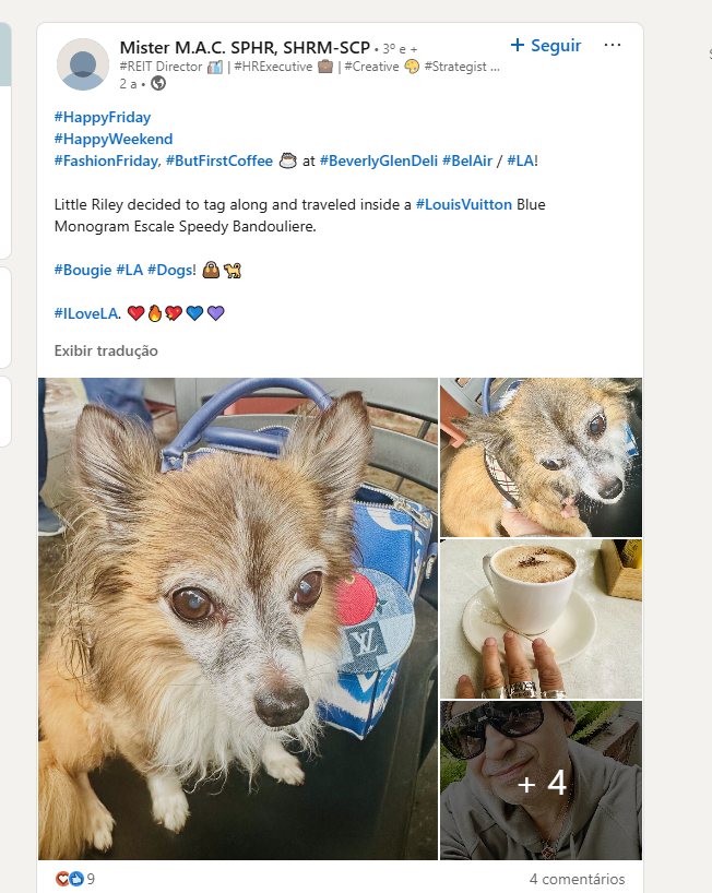 SerpassARC's tweet photo. RILEY IS ANOTHER @RobinhoodCrypto VICE PRESIDENT
LETS SEND THIS RIGHT NOW

RILEY TO MOON

https://t.co/8j3zX7WlUR https://t.co/Bc60Ek2J1p