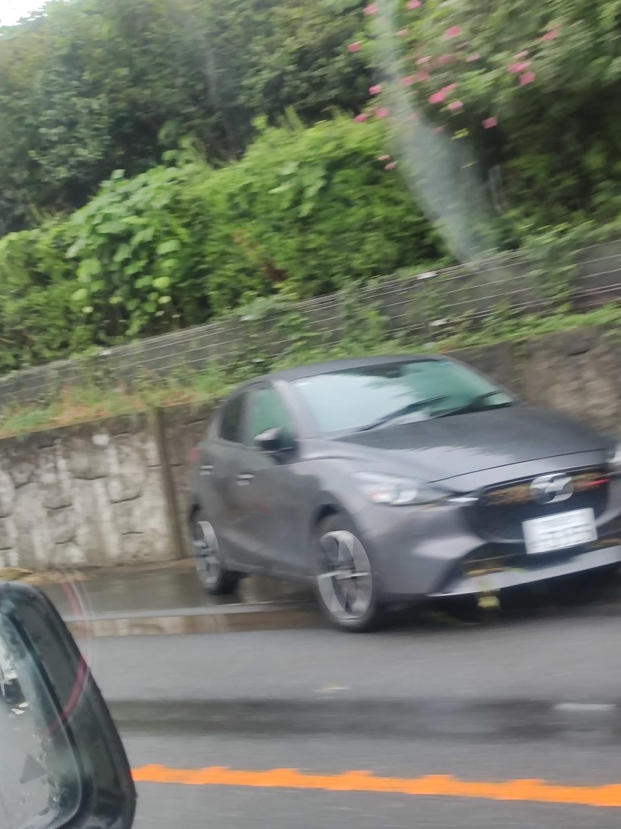 Takenoko_san's tweet photo. 北関東道の側道に放置車両多数💦

ヤバすぎだろwww https://t.co/pei5qELQdG