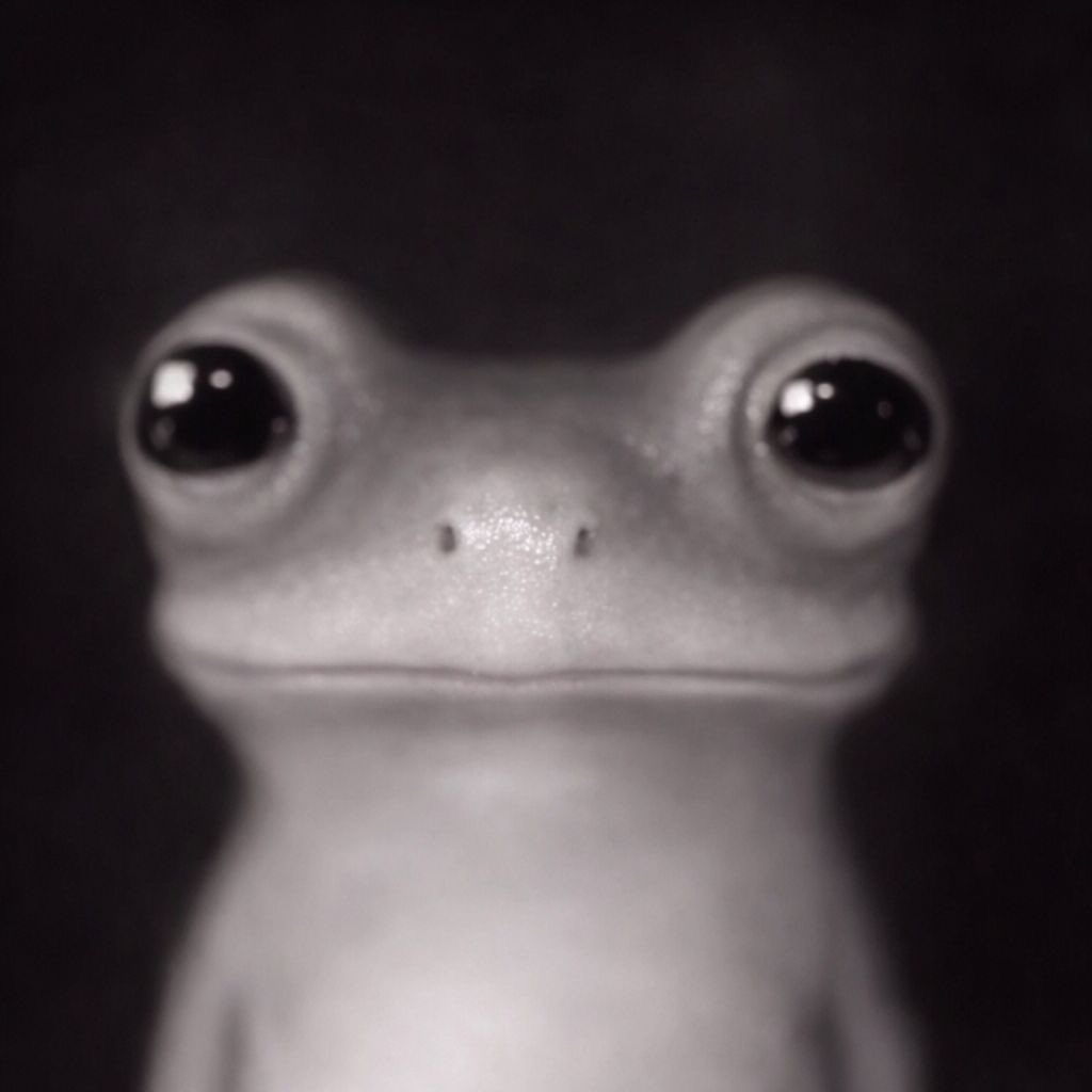 EG zerona tweet media