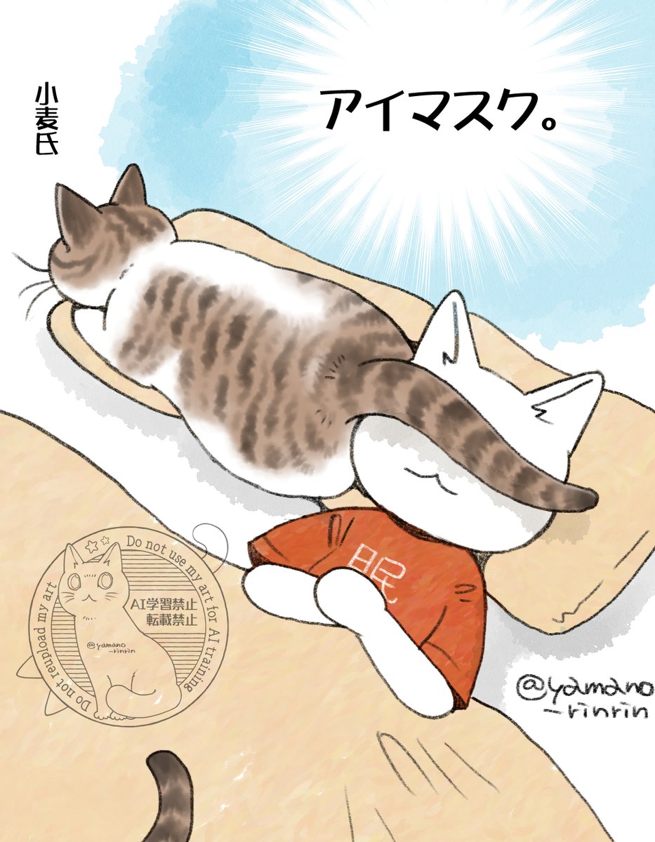 yamano_rinrin's tweet photo. #山野さんちの猫たちの言い分
#今日の山野絵
#猫エッセイ
アイマスク👀🐈 https://t.co/0Z6bgzVwfg