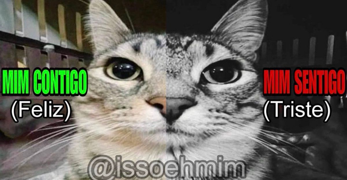 5gramasdememes's tweet photo. 😊 https://t.co/4hie96gI5o