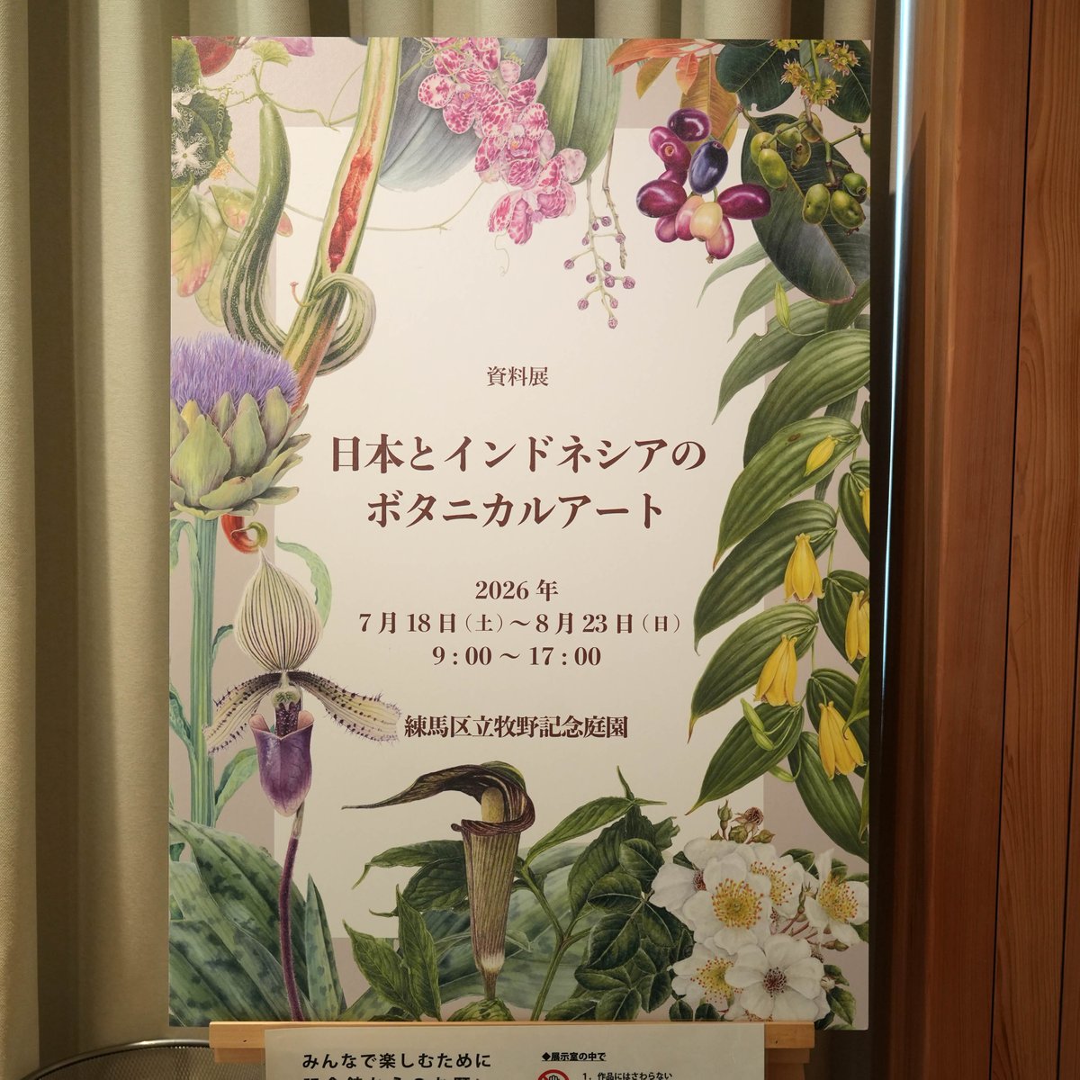 【絵画】ボタニカルアート　「ハマナス」原画 牧野記念庭園では資料展「日本とインドネシアのボタニカルアート」が