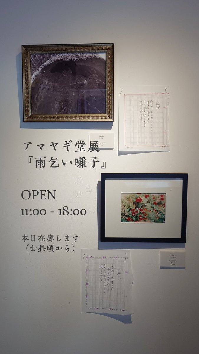 薄明 tweet media