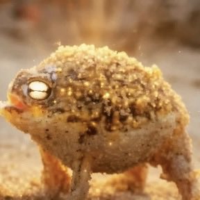 Humanevolvd's tweet photo. $FWOG 
It’s literally a meme frog 😭 
Perfect time since Jimothy is ripping!! 

A few people fumbled it so I will lock 20% https://t.co/iAV2RVVpuV