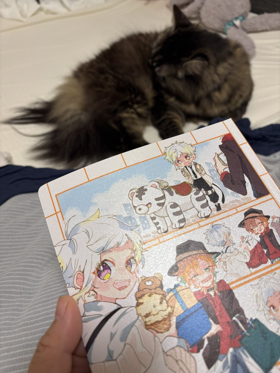 chu29_achi05's tweet photo. 猫とちゅあち本と
最高の三連休幕開け https://t.co/bhX1lJJyJQ