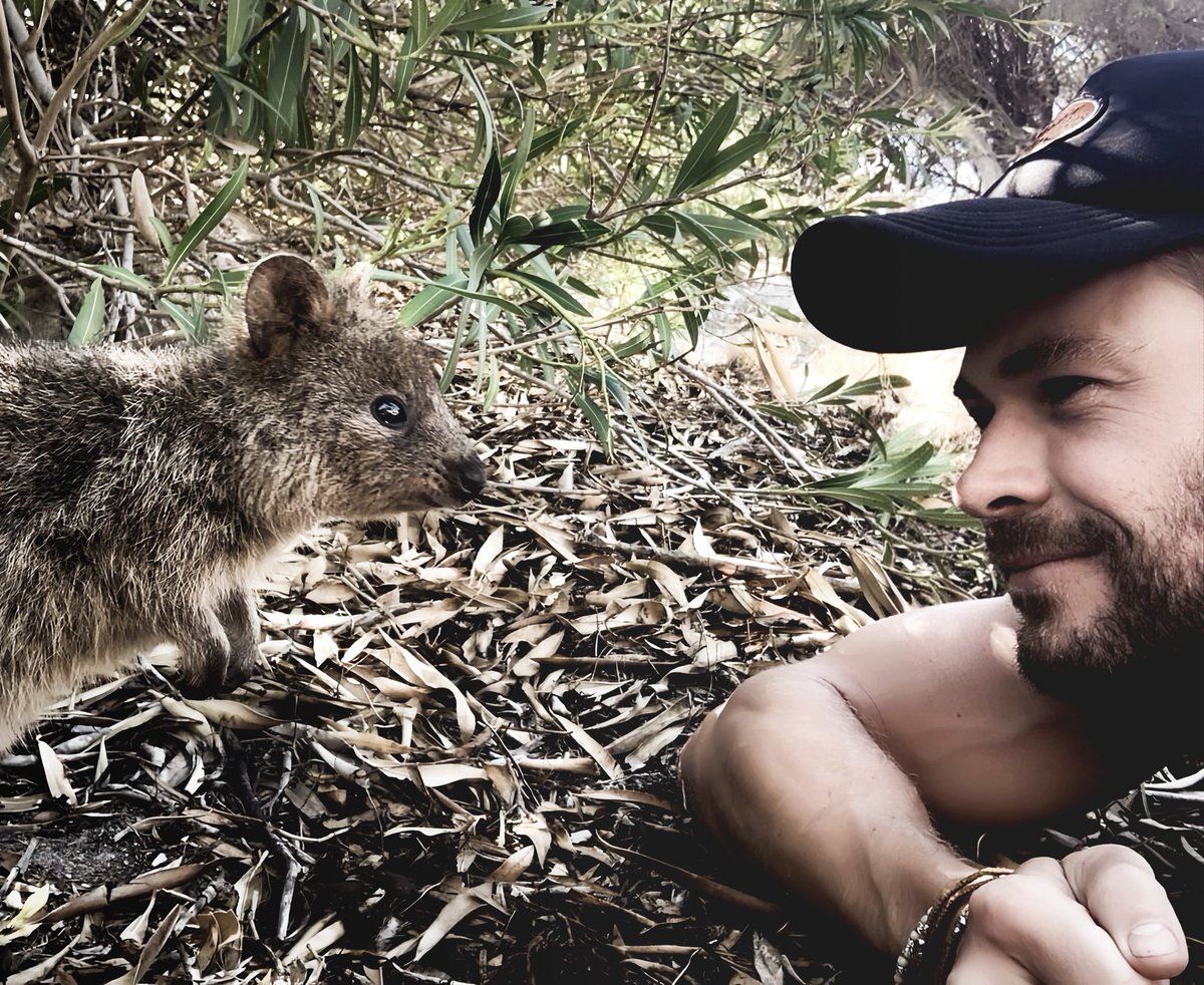 thunderhems's tweet photo. Just hanging out with the locals. https://t.co/UnazMNjHzA
