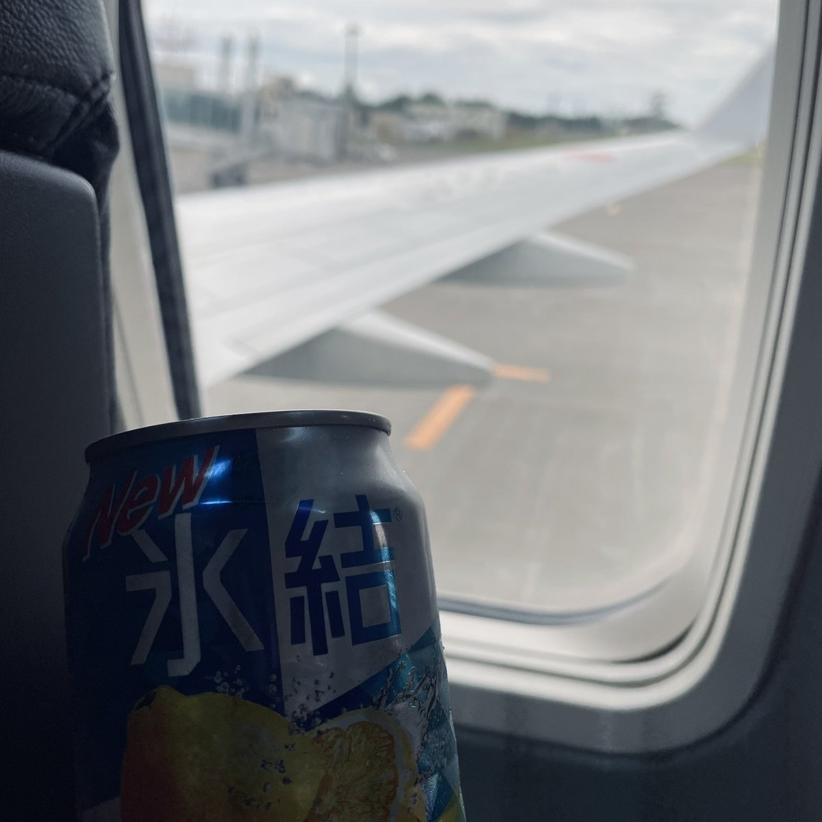 _vRinger's tweet photo. 飛ぶヨ✈️ https://t.co/ZenMJ1H7nL
